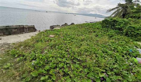 Properties For Sale in Pooc, Talisay .